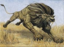 Savannah Lions