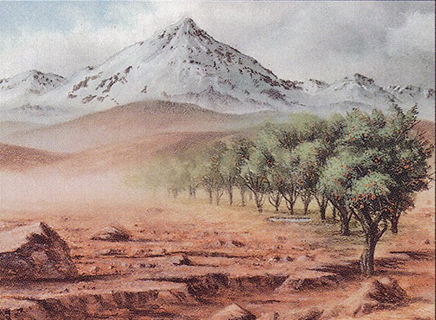 Shivan Oasis