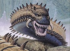Spined Wurm
