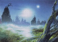 Swamp