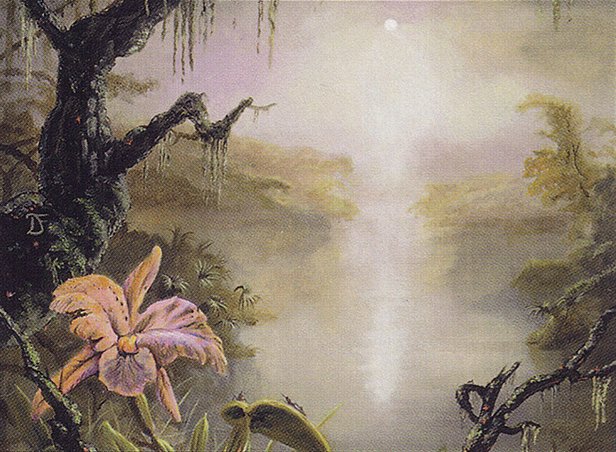 Swamp