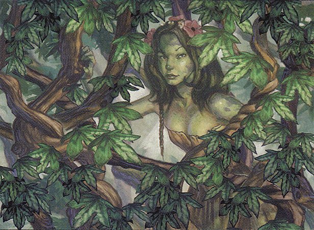 Vine Trellis
