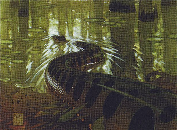 Anaconda