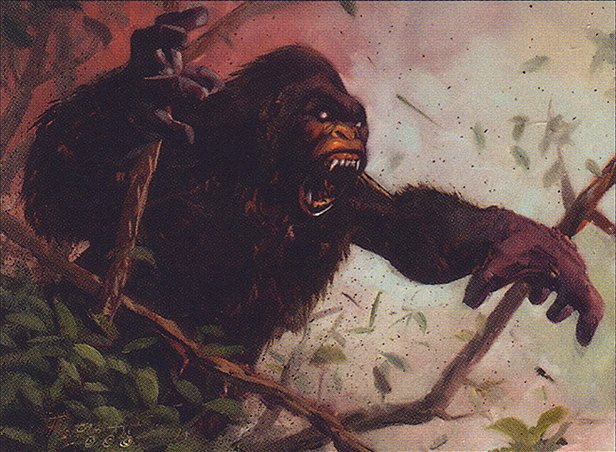 Ancient Silverback