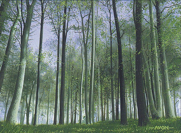 Forest