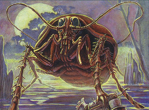 Giant Cockroach