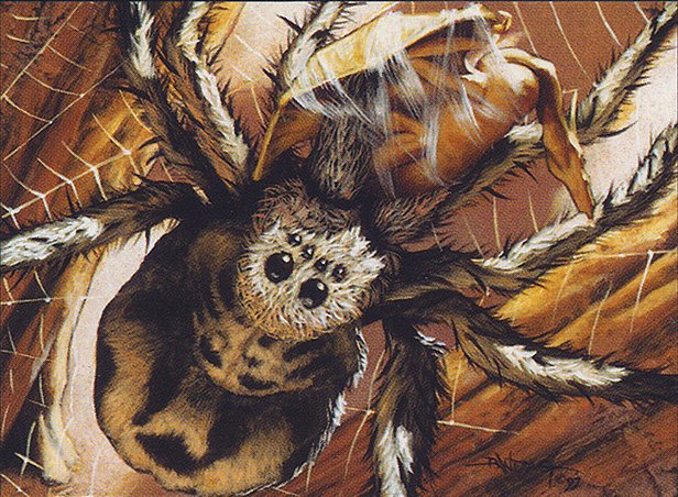 Giant Spider