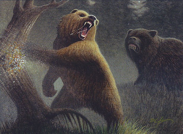 Grizzly Bears
