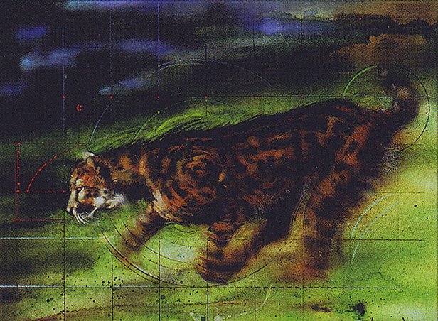 King Cheetah