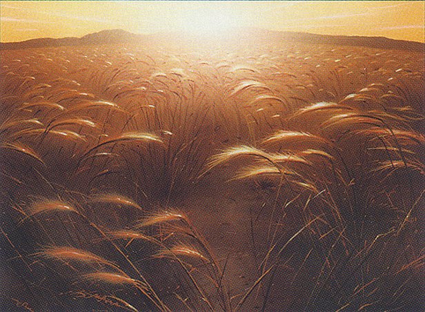 Plains