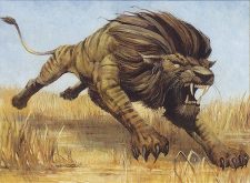 Savannah Lions