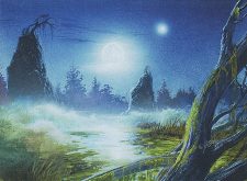 Swamp