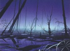 Swamp