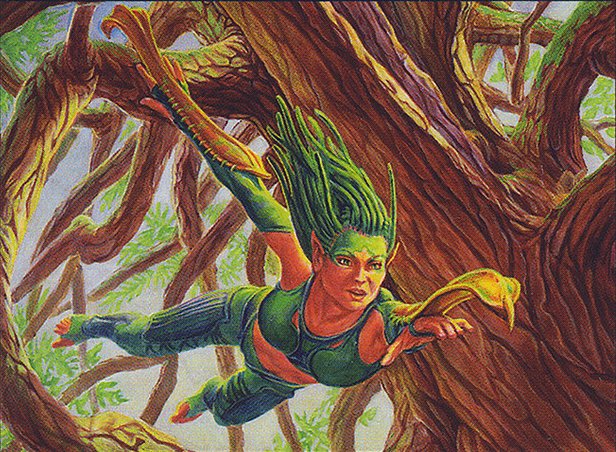 Treetop Bracers