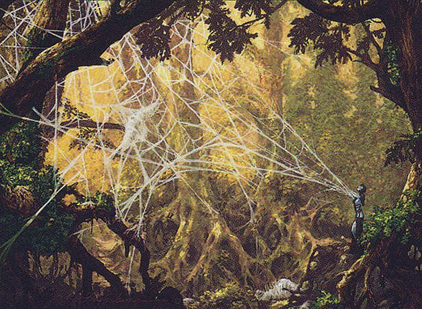 Web