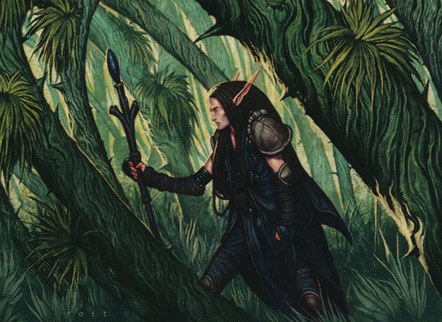 Arbor Elf