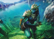 Coralhelm Guide