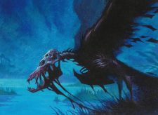 Death’s-Head Buzzard