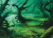 Flooded Grove