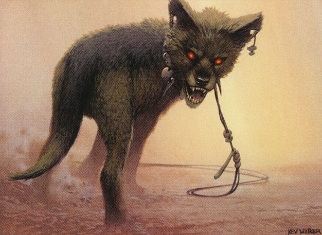 Jackal Pup