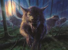 Timberpack Wolf