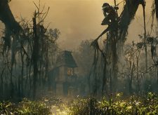 Swamp