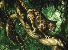 Aetherstream Leopard