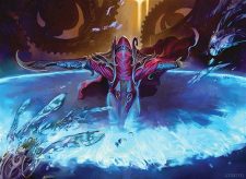 Baral’s Expertise