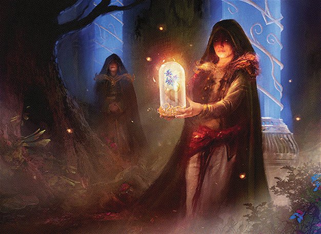 Hidden Herbalists