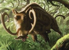 Outland Boar