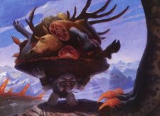 Dragonlord’s Servant