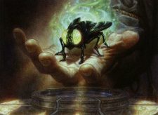 Ebony Fly