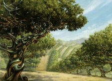 Exotic Orchard