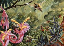 Fertile Ground