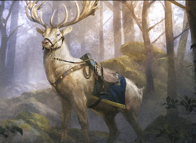 Fey Steed
