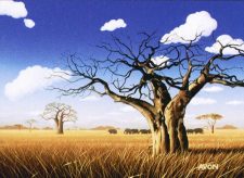 Grasslands
