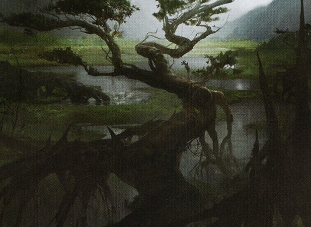 Mortuary Mire