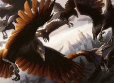 Murder of Crows
