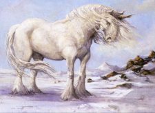 Ronom Unicorn