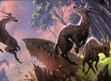 Wild Endeavor
