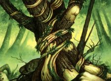 Wild Growth