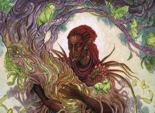 Circle of Dreams Druid