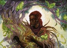 Circle of Dreams Druid