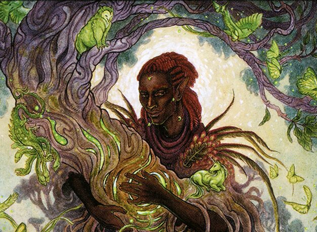 Circle of Dreams Druid