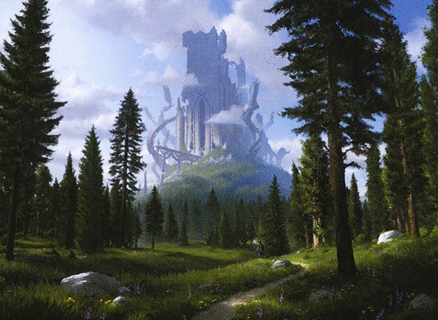 Forest