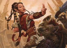 Half-Elf Monk