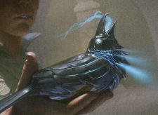 Silver Raven