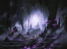 Swamp