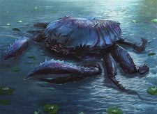 Ancient Crab
