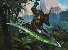 Bitterblade Warrior